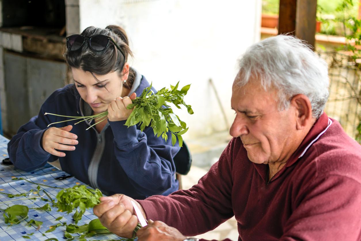 Volunteer to improve brain health